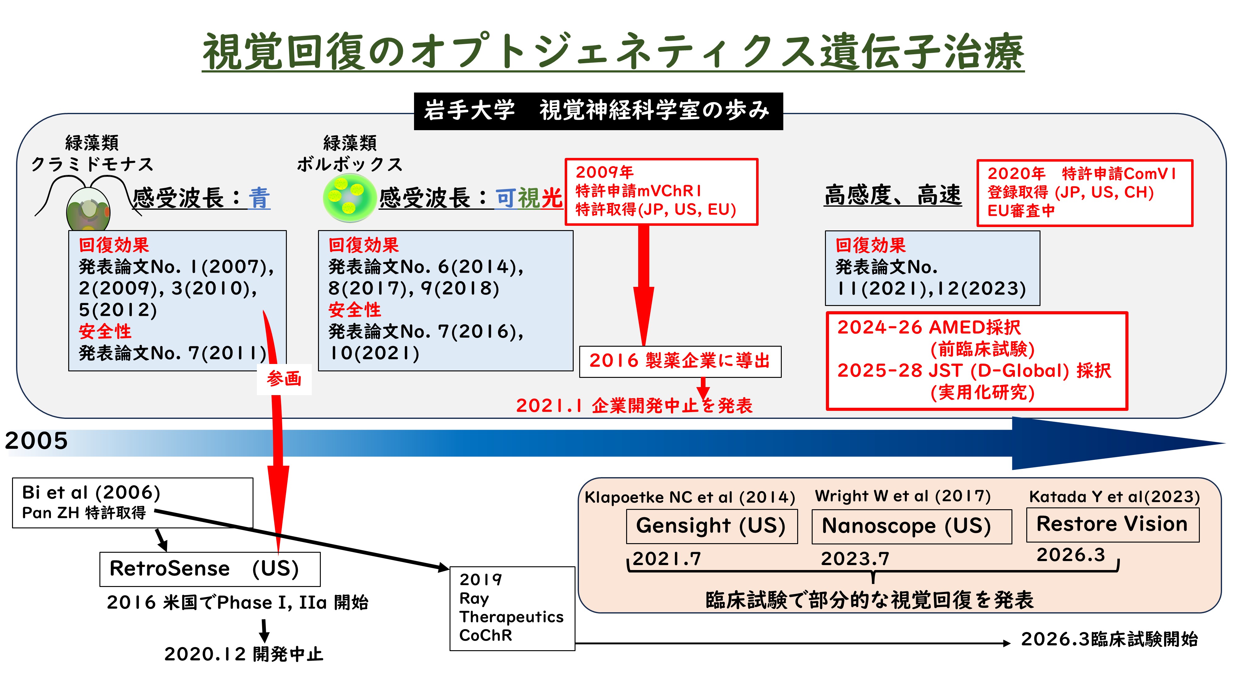 これまでの経緯